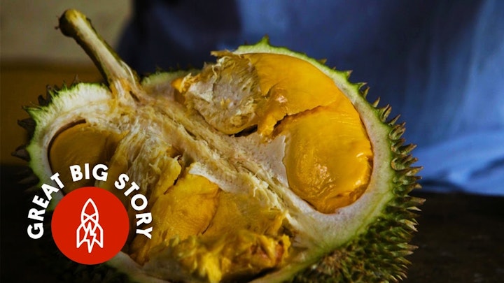 Durian Fruit: A Smell So Rotten, a Taste So Sweet
