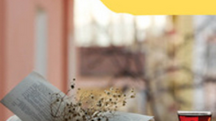 IVVI Editore - Le nostre quarantene, Amici Gatti & Poesia Italiana - Libro Giallo