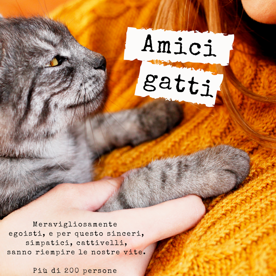 Le nostre quarantene, Amici Gatti & Poesia Italiana - Libro Giallo