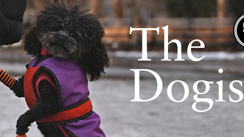 The Dogist