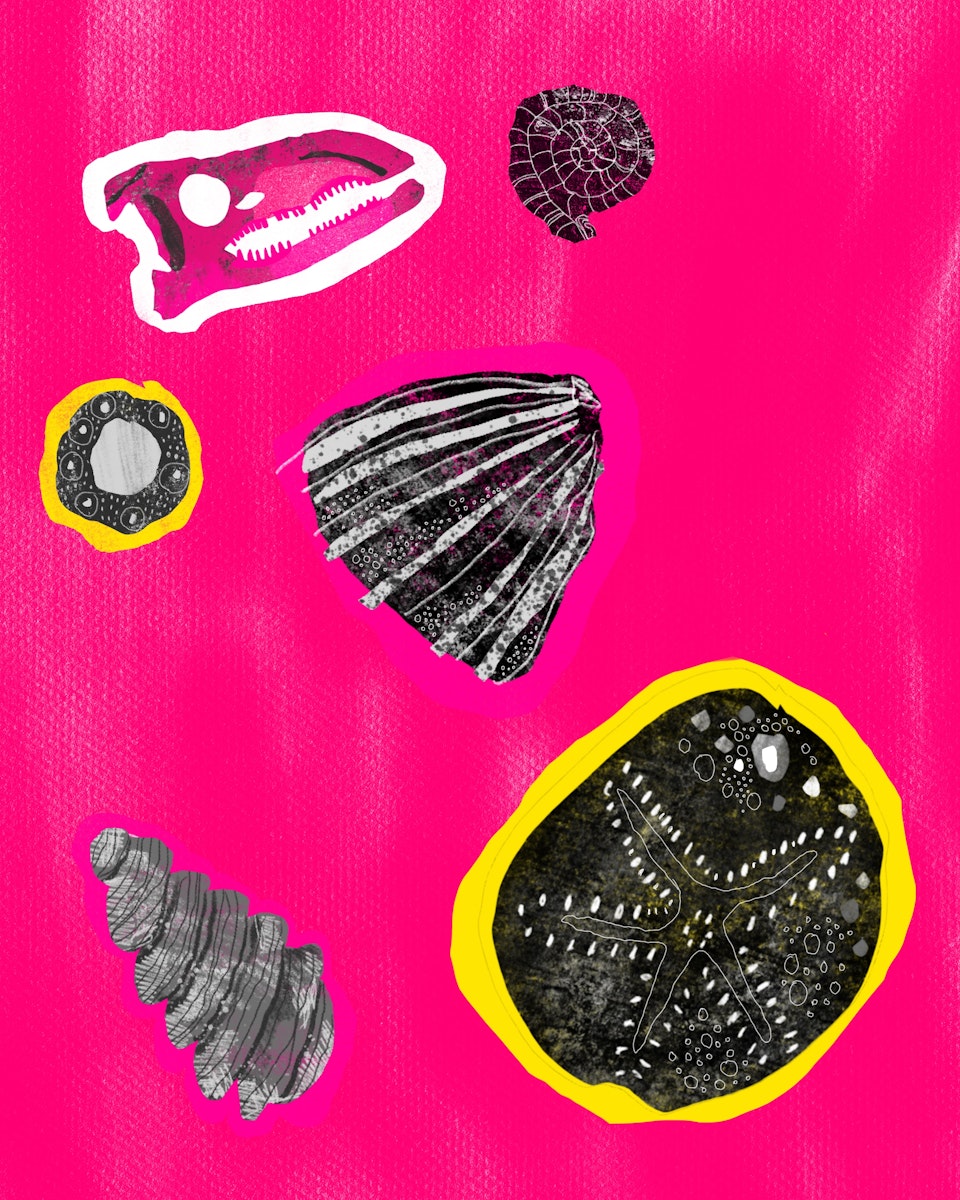 Fossil page