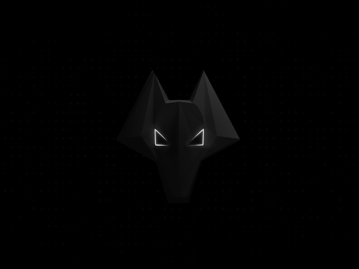 Wolves Kit Launch