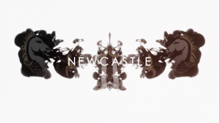 Newcastle Ink Graphics