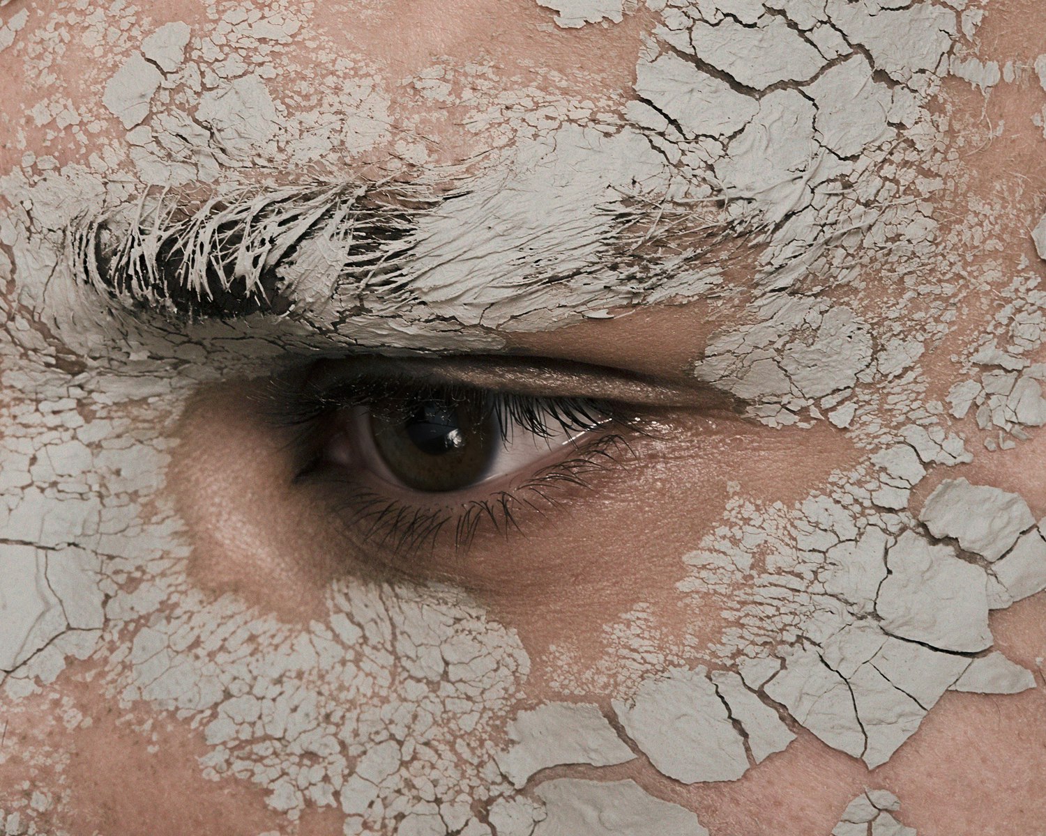 65 -