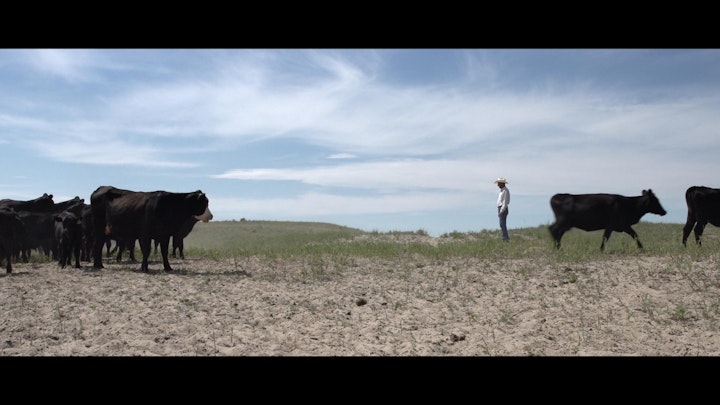 Beast - Nebraska, The Story of Steak