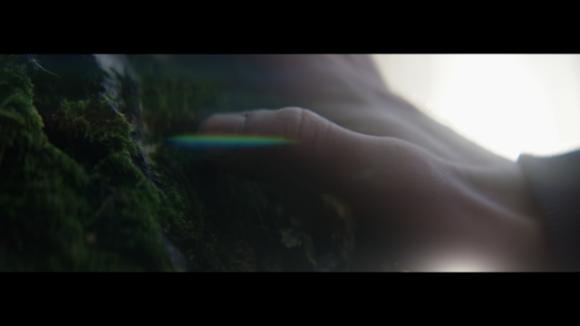 Screenshot 2019-11-08 at 22.14.41