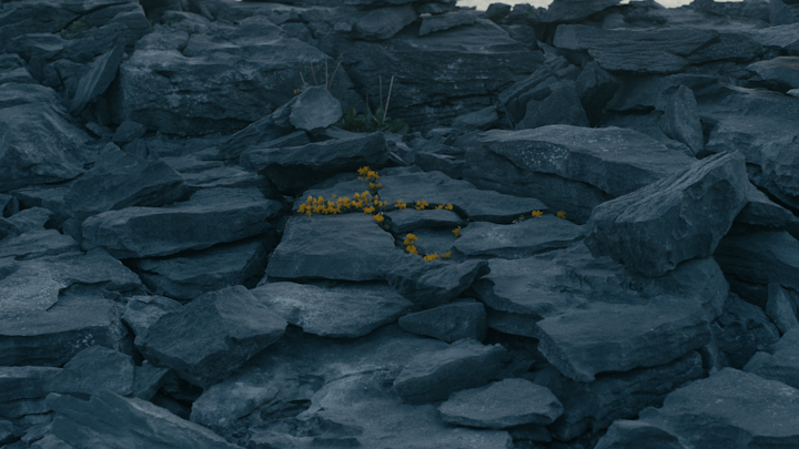 KYLE MACFADZEAN - Screen+Shot+2018-08-25+at+11.41.39