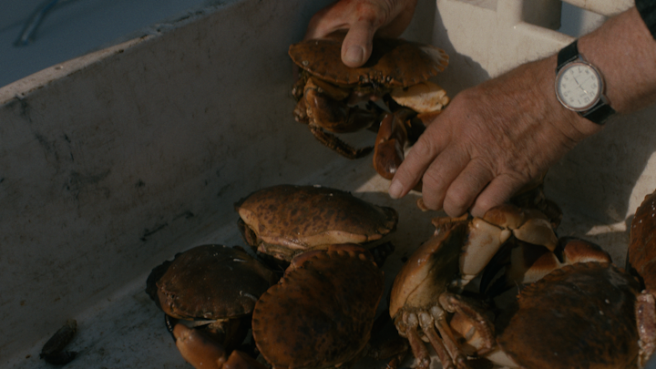 KYLE MACFADZEAN - Screen+Shot+2018-08-25+at+11.37.31