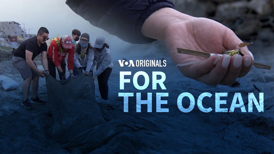 For The Ocean | 52 Documentary | VOA ORIGINALS