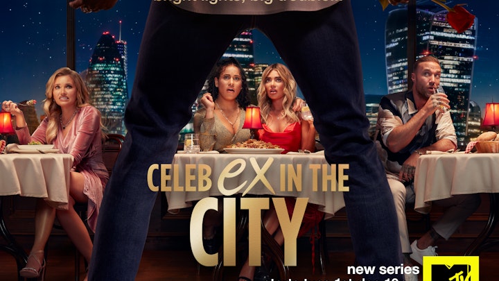 MTV Celeb Ex In The City S1