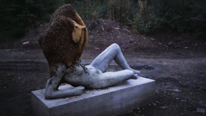 A Way in Untilled - Pierre Huyghe