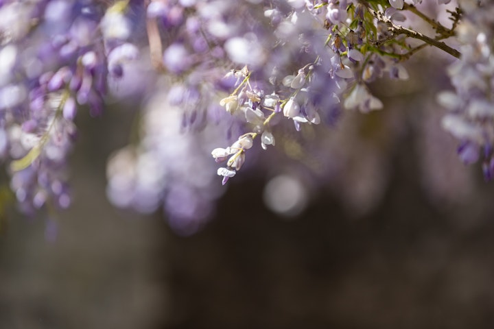 220519 KidUnk-259 -