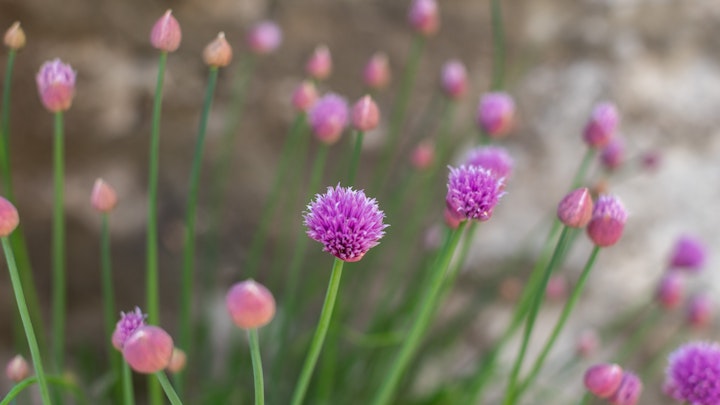 220519 KidUnk-128 -