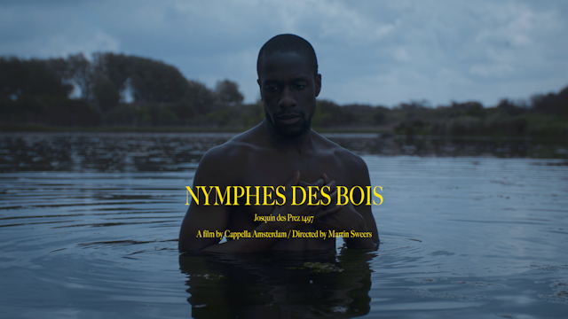 Nymphes Des Bois