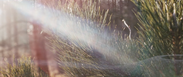Ronde run screenshot 3