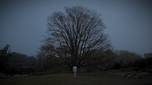 Nymphes Des Bois 11