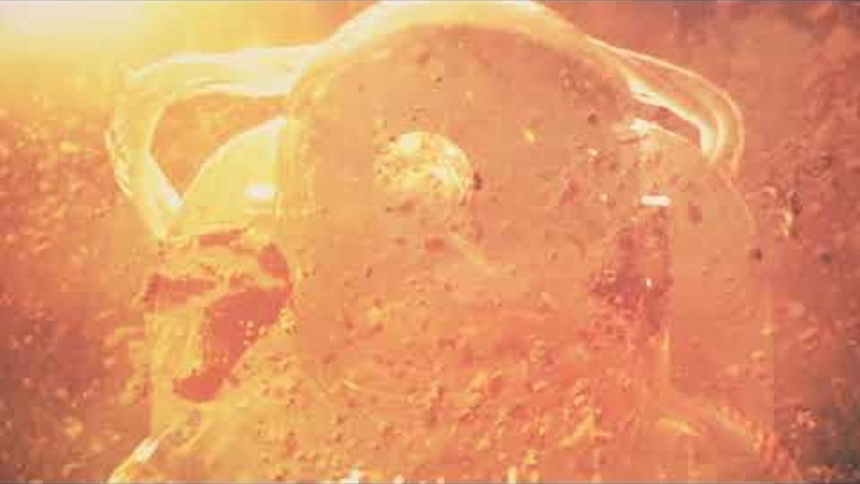 Mitochondrial Sun - Nyaga