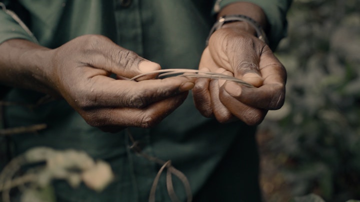 ENG_Snare_Removal_Edit_ONL_A.00_00_59_13.Still006 -