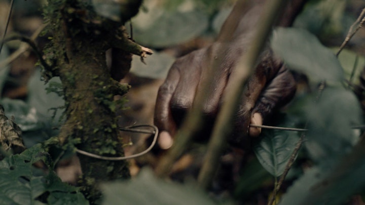 ENG_Snare_Removal_Edit_ONL_A.00_00_56_02.Still005 -