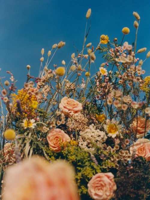 2022_CompositionFlorale_2_RGB_resultado_1-500x664 -