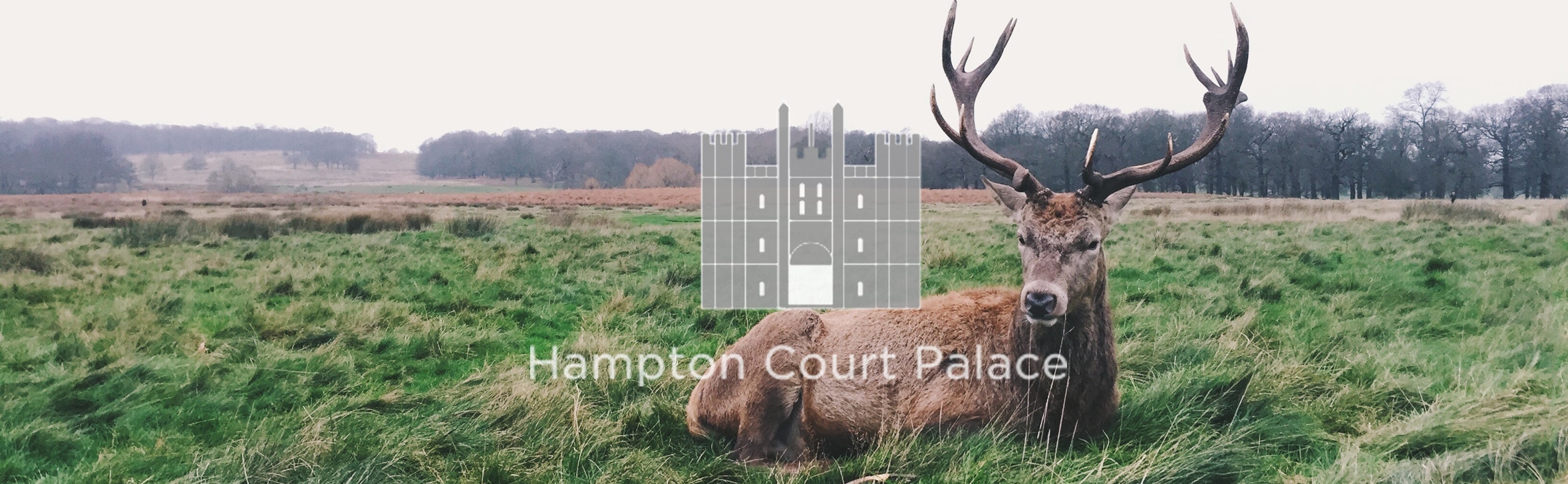 Hampton Court films