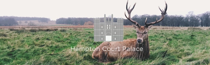 Hampton Court films