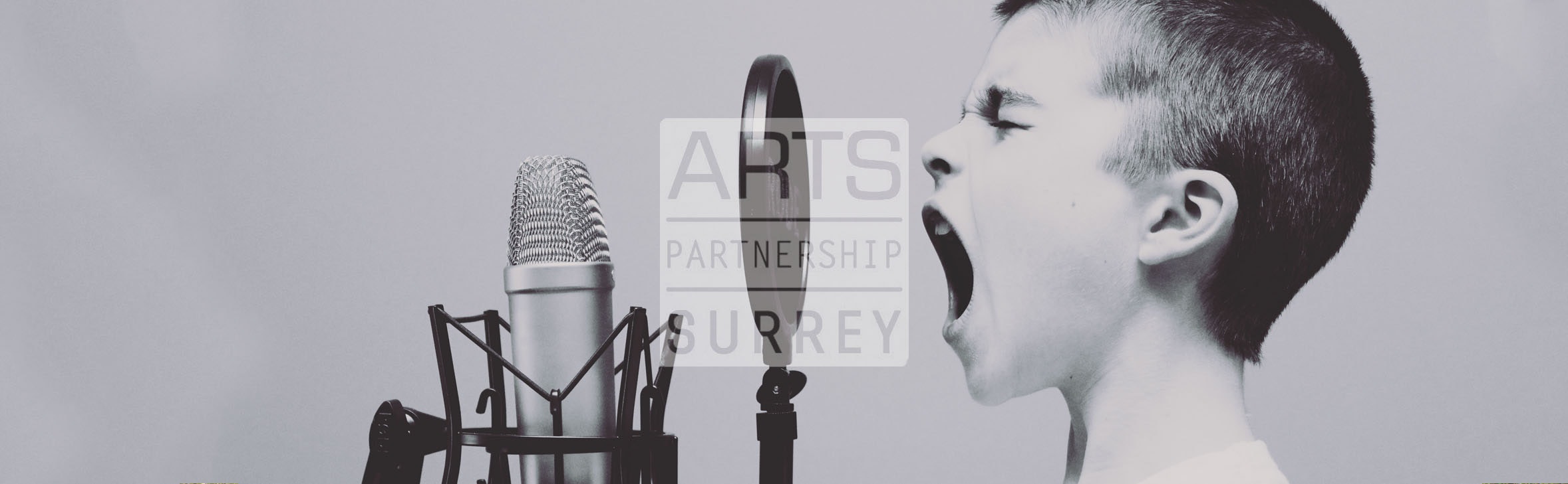 Arts Partnership Surrey