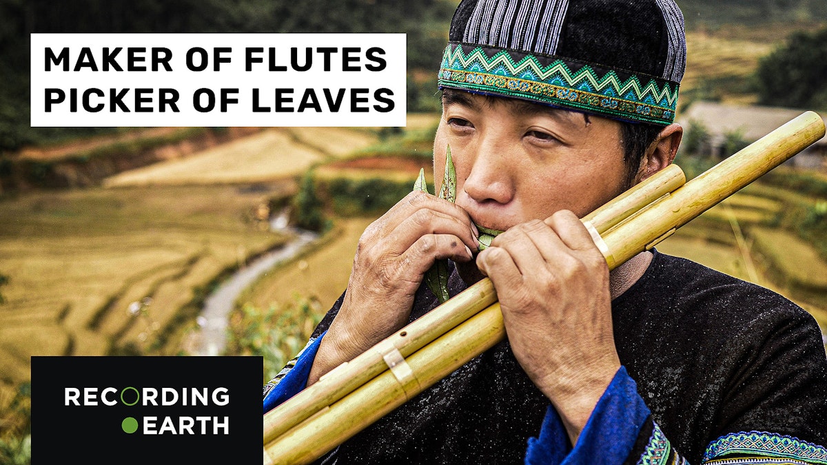 Hmong flute and leaf playing