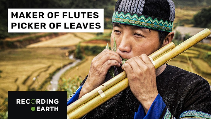 Hmong flute and leaf playing