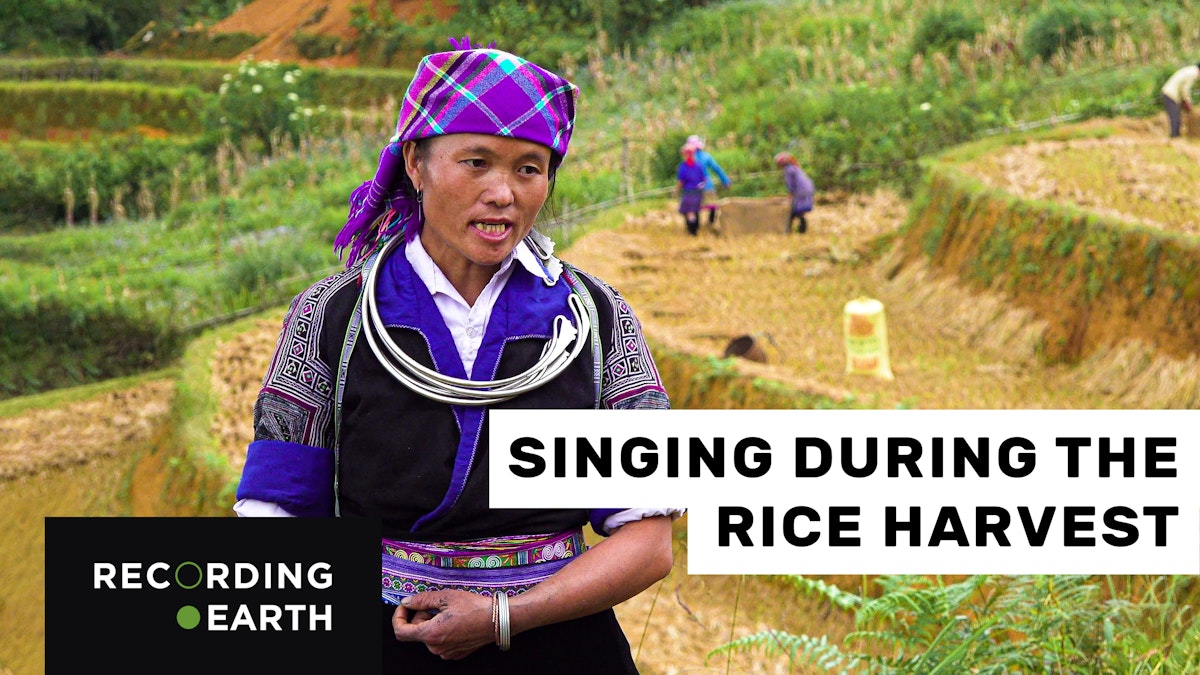 Hmong singing