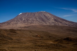 Kilimanjaro Pics-81