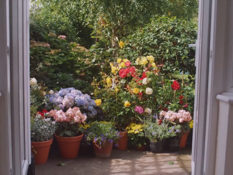 Air Wick| 'Give the Gift of Home' - air wick flowers sceen shot