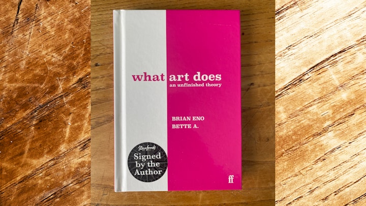 WHAT ART DOES examines the function of fictional worlds - such as pop songs, detective novels, soap operas, shoe tassels and the hidden language of haircuts - and suggests a new theory of art.Why do we do it? How does it help us? And how does it hold us all together?