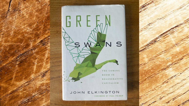 Can capitalism ever be sustainable? And if so, how? The answer might lie in "Green Swans," a new concept by John Elkington, representing system-wide changes toward a more sustainable world.