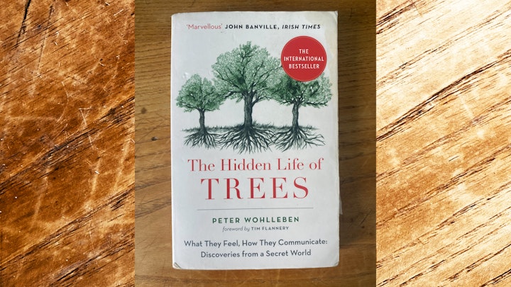 Are trees social beings? How do trees live? Do they feel pain or have awareness of their surroundings? In The Hidden Life of Trees Peter Wohlleben makes the case that the forest is a social network.