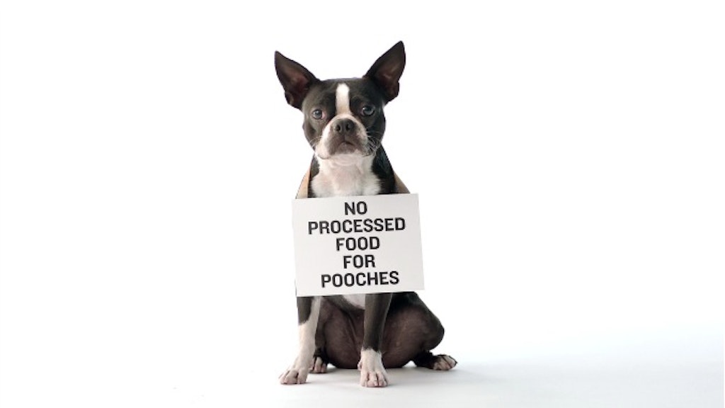 Fresh Pet - "Protest"