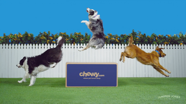 CHEWY.com - "Dance"