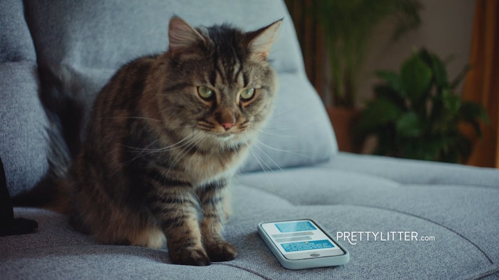 PrettyLitter - "TEXTING" :30
