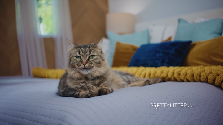 Pretty Litter - "FOUNDER" :30