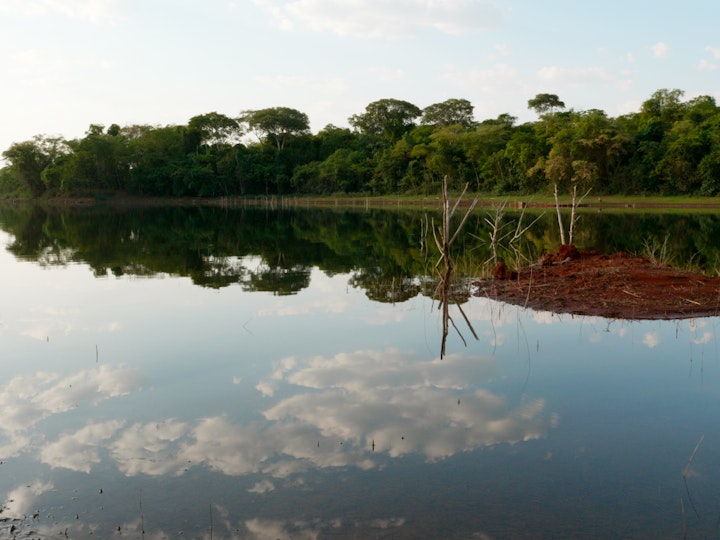The Natural Wonders of the Brazilian Cerrado: A 4K Sound and Image Experience