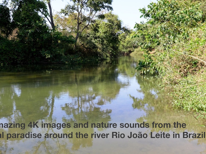Nature Sounds and 4K Images from the João Leite River: A Brazilian Paradise