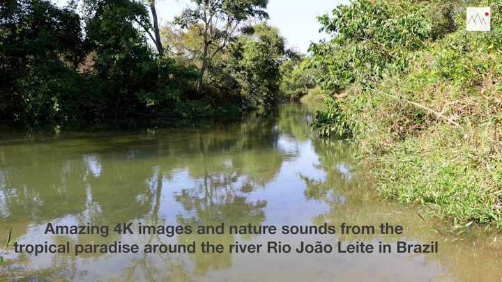Nature Sounds and 4K Images from the João Leite River: A Brazilian Paradise