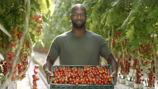 Tesco 'Food Love Stories'