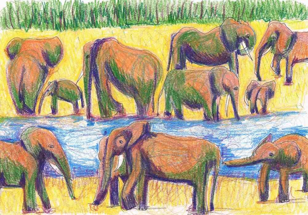 Einat Aloni - The elephants in the river, pastel on paper, 30X20 cm