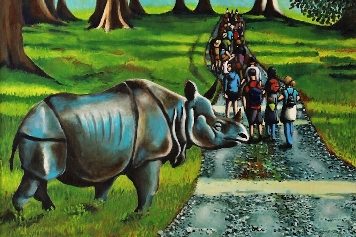 Einat Aloni - The Rhinoceros