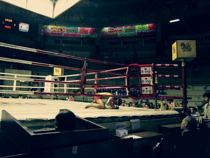 Travelogue (Excerpts)