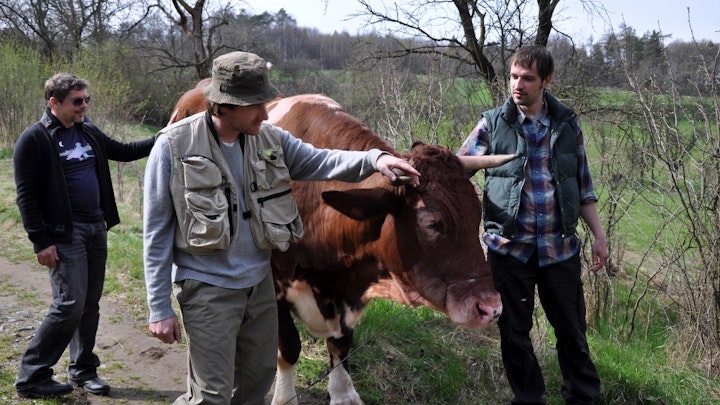 Gambrinus "Steak Ranch"