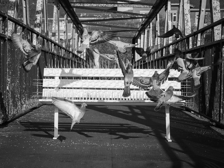 Hostile, Ellie Shipman, 2024-25 (bnw)