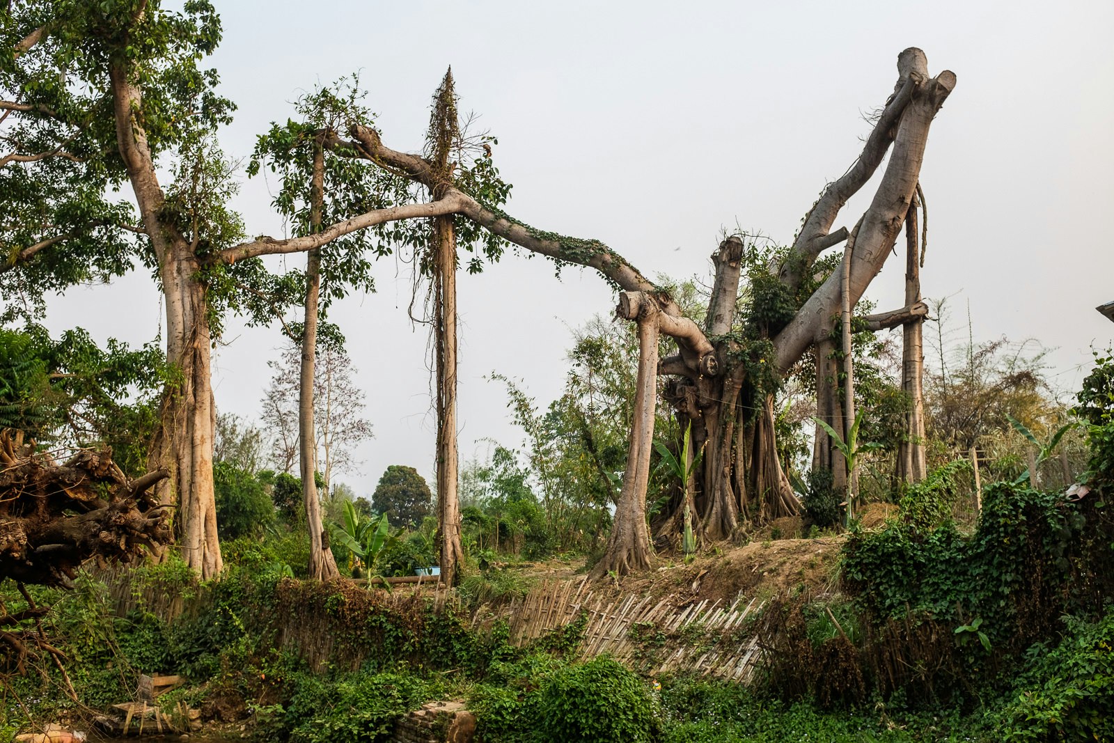 MYANMAN_JPGMINI-21 -