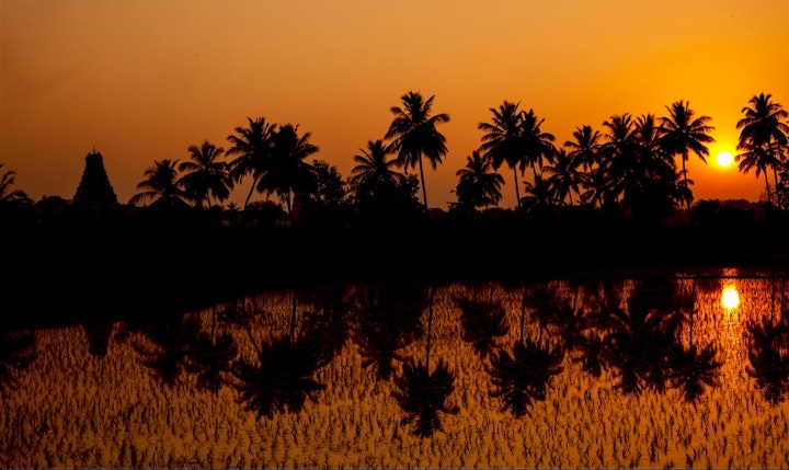 JONO SMITH - india sunset